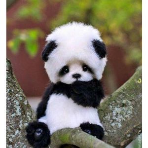 Meet your Posher, Kaitlin